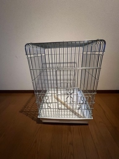 HOEI465オウム