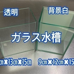 GEX  グラステリア　ガラス　水槽　2個セット　アクアリウム
