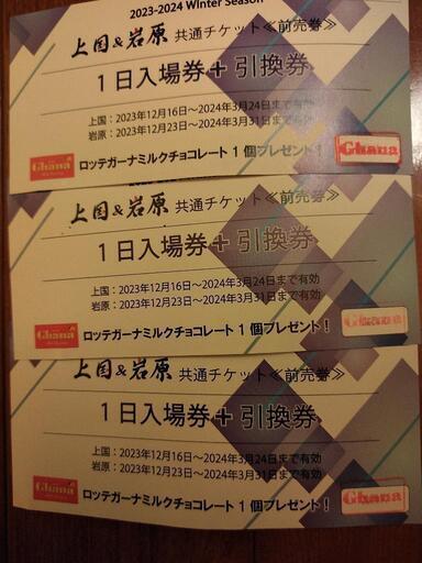 上越国際スキー場 岩原スキー場 共通リフト券 3枚