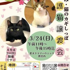 ３月２４日（日）つるみ・猫のカギしっぽ譲渡会（JR鶴見駅西口歩５...