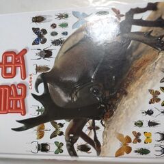 昆虫図鑑　小学館の図鑑NEO 