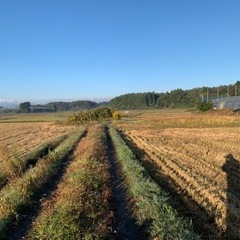 田圃を辞めたので畑としてレンタルします - 須賀川市