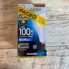 LED電球　100形