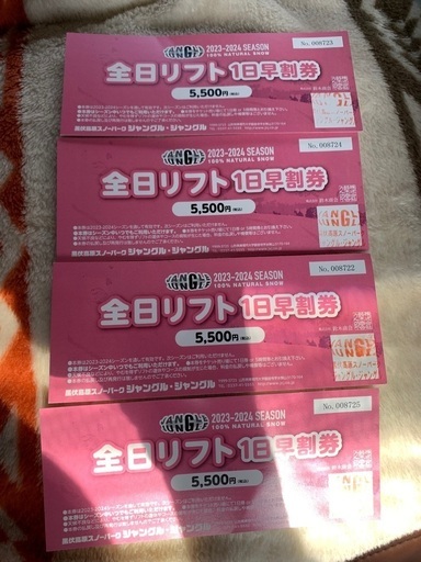 お得‼︎✨JANGLE JANGLE✨ジャングルジャングル　全日リフト一日券✨2枚セット