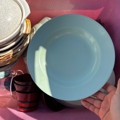 プラスチック　皿　味噌茶碗　など