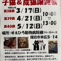 諏訪地域　保護猫　譲渡会