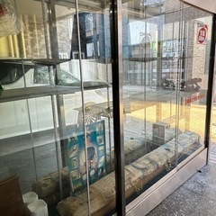 ガラス棚　大型