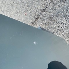 ⭐️SHARPノンフロン冷凍冷蔵庫⭐️ ⭐️SJ-D23F-S⭐️