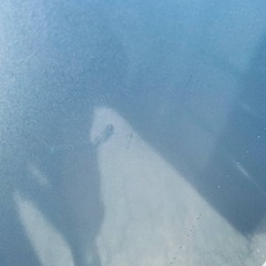 ⭐️日立ノンフロン冷凍冷蔵庫⭐️ ⭐️R-27EV⭐️-美品☆700c シティクロスバイク 6speed/ブラック