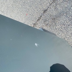 ♦️️SHARPノンフロン冷凍冷蔵庫  【2020年製 】SJ-D23F-S