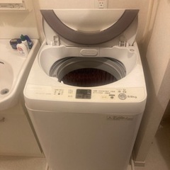 洗濯機5.5kg 