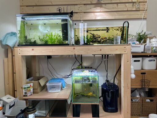 水槽　棚セット　引き取り限定　40000～50000