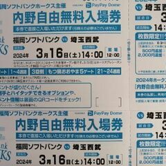 3/16 ソフトバンクVS西武ライオンズ戦