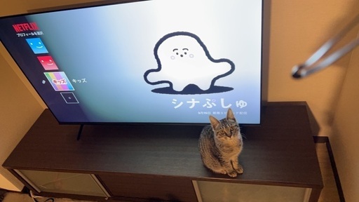 【テレビ50インチ　\u0026 テレビ台】
