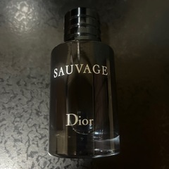 【ネット決済・配送可】DIOR