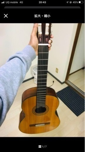 弦楽器、ギター gitar