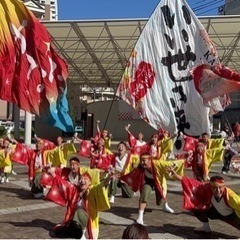 煌星〜かなた〜　よさこいメンバー募集！！