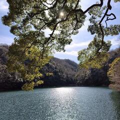 ３／１０（日)再度公園ハイキング仲間募集🤗🍃