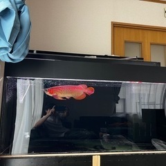 アクリル水槽120．60．60と上部フィルター120用