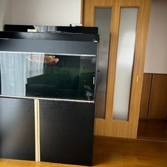 アクリル水槽120．60．60と上部フィルター120用