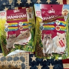 ハムスターHAMHAM