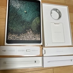 Apple iPad Pro 10.5 インチ Cellerモデ...