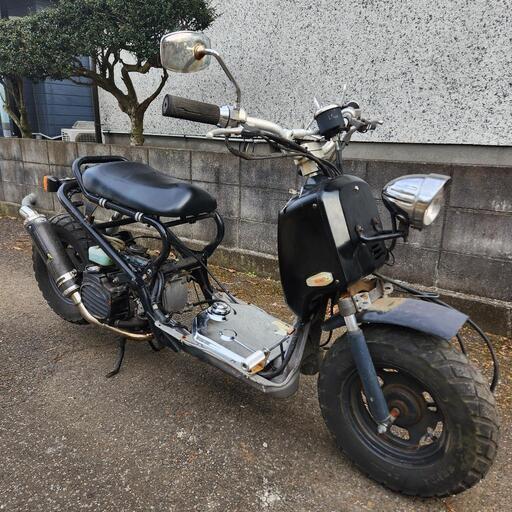 ホンダ　ズーマー　ロンホイローダウンカスタム　ヨシムラマフラー　千葉県流山市より