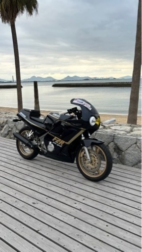 ヤマハ YAMAHA FZR250 2KR