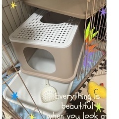 猫ケージ&トイレ