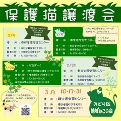 名古屋市緑区猫の譲渡会