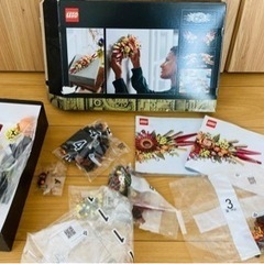 レゴLEGO 10314