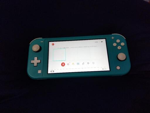 すぐ遊べる任天堂スイッチライトとセット