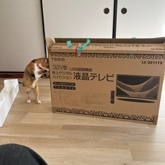 32型テレビです