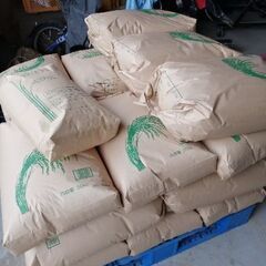 令和5年産　徳島県産コシヒカリ　玄米30kg