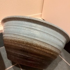 水 鉢
