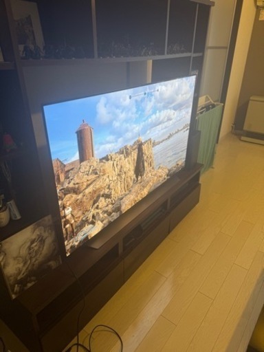 LG CX 4K 55” OLED/EL テレビ