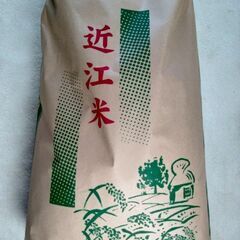 近江米 玄米 みずかがみ 30キロ 令和5年収穫 特別栽培米