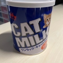 子猫　ミルク