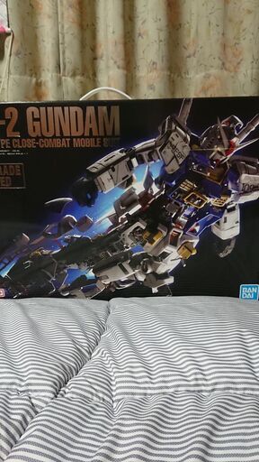 ガンプラ PGガンダムアンリーシュド