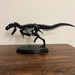 ティラノサウルス　骨格模型　全長40CM