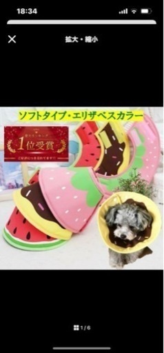 新品未使用　エリザベスカラー
