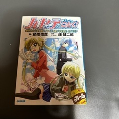 ハヤテのごとく！小説