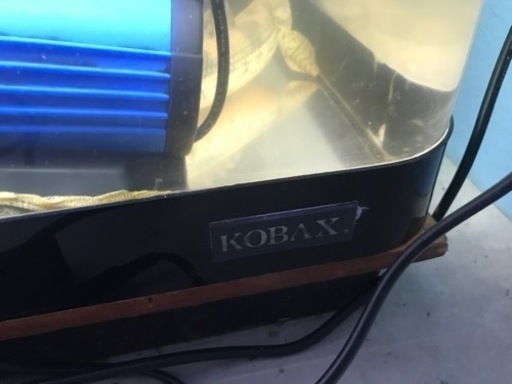 【公式サイト】正規ブランド品通販 お譲り先決定‼️‼️KOBAX 1800曲げアクリル水槽 大型水槽 1800 その他