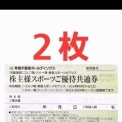 ニセコ東急 グラン・ヒラフ　株主優待券　２枚セット