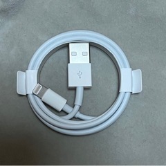 Apple 純正　USBケーブル