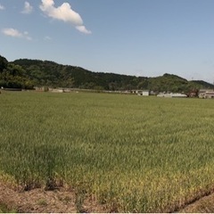 農業ボランティア⭐︎農業体験 - 大阪市