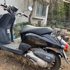 原付 ホンダ トゥディ