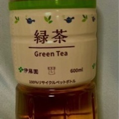 緑茶 600ml