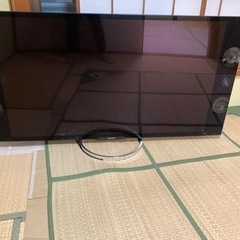 BRAVIAテレビ　55インチ