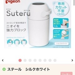 Pigeon ステール